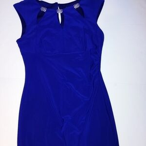 Scarlett Fitted Dress 8